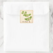 Sweet Marjoram Herb Square Sticker (Tas)