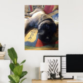 Sweet Mastiff Puppy Poster (Thuiskantoor)