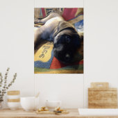 Sweet Mastiff Puppy Poster (Keuken)