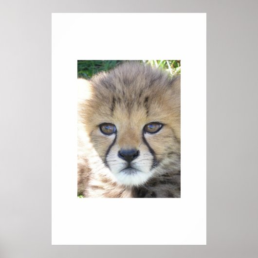 Sweet November Poster (Voorkant)