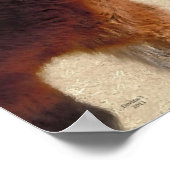 Sweet Old Pony Horse - Horses and Ponies Poster (Hoek)