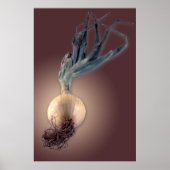 Sweet Onion Poster (Voorkant)
