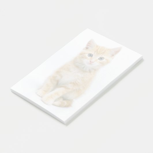 Sweet Oranje Tabby Post-it® Notes (Schuin)