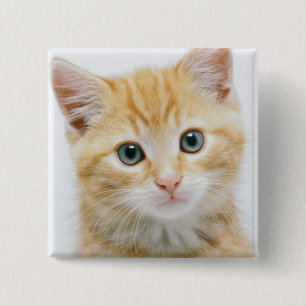 Sweet Oranje Tabby Vierkante Button 5,1 Cm