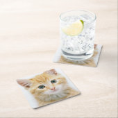 Sweet Oranje Tabby Vierkante Kartonnen Onderzetter (Insitu)