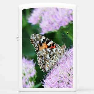 Sweet Painted Lady