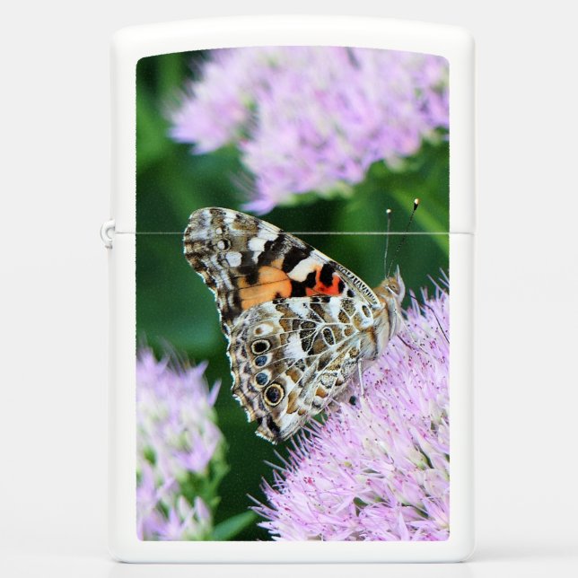 Sweet Painted Lady (Voorkant)