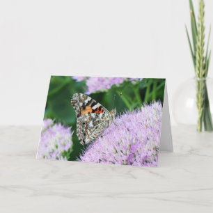 Sweet Painted Lady Kaart