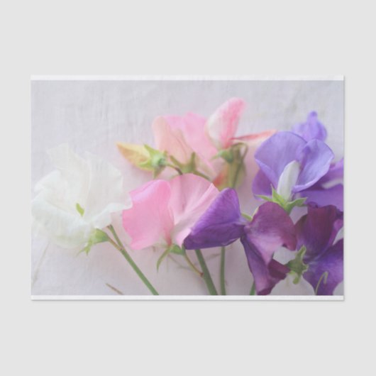Sweet pea bouquet tissuepapier (Voorkant)