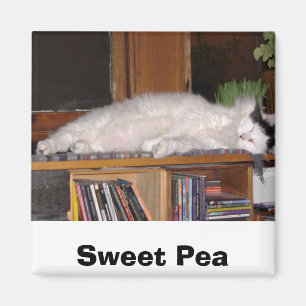 Sweet Pea Magneet