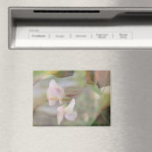 Sweet Pea Magnet Magneet (Insitu (Vaatwasser))