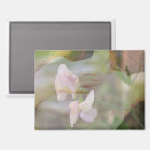 Sweet Pea Magnet Magneet (Voorkant / Achterkant)