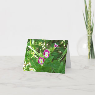 Sweet Pea Note Card Kaart