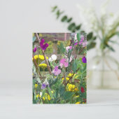 SWEET PEAS BRIEFKAART (Staand voorkant)