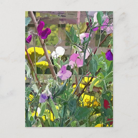 SWEET PEAS BRIEFKAART (Voorkant)
