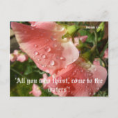 Sweet Peas Briefkaart (Voorkant)