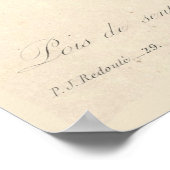 Sweet Peas Canvas Print (Hoek)