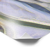 SWEET PEAS FOTO AFDRUK (Hoek)