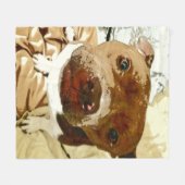 Sweet Pibble Face Fleece Deken (Voorkant (Horizontaal))
