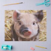 Sweet Piglet Tissuepapier (Craft)