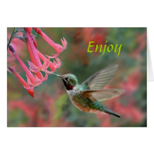 Sweet Pleasures (Voorkant Horizontaal)