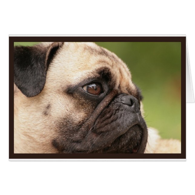 Sweet Pug (Voorkant Horizontaal)