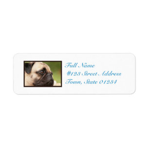 Sweet Pug Etiket