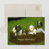 Sweet puppies briefkaart (Voorkant / Achterkant)