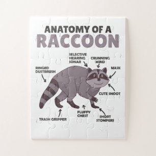 Sweet Raccoon-anatomie van een raket Legpuzzel