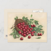 Sweet Red Cherries Briefkaart (Voorkant / Achterkant)