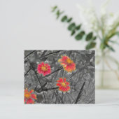 Sweet Red Flower Briefkaart (Staand voorkant)
