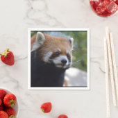 Sweet Red Panda Beer Servetten (Insitu)