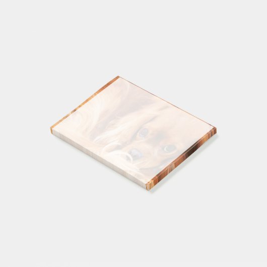 Sweet Ruby Cavalier King Charles Spaniel Post-it® Notes (Schuin)