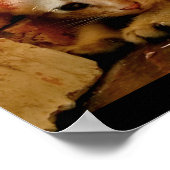 Sweet Sad Kitten Poster (Hoek)