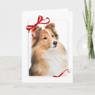 Sweet Sheltie kerstkaart Feestdagen Kaart