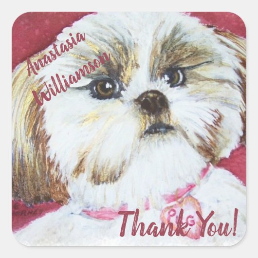 Sweet Shih Tzu DANK JE Vierkante Sticker (Voorkant)