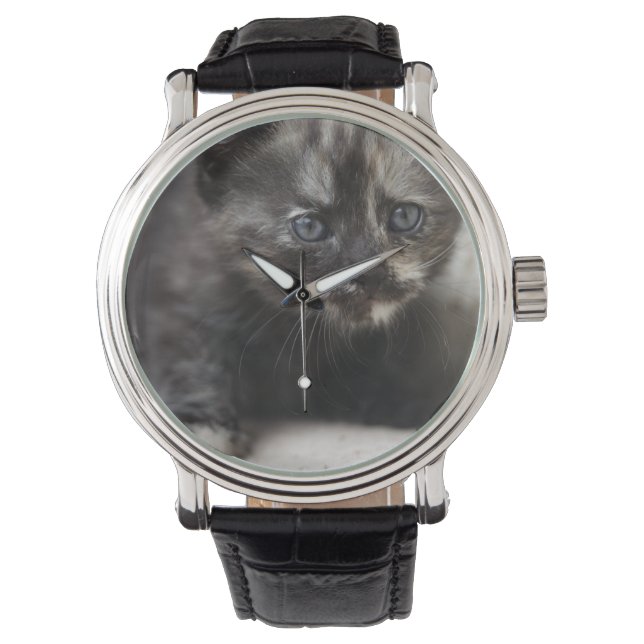 Sweet Shy Tortoiseshell Baby Horloge (Voorkant)