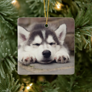 Sweet Siberian Husky Puppy Sleeping Keramisch Ornament