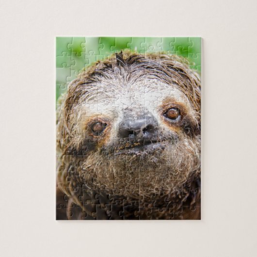 Sweet Sloth Legpuzzel (Verticaal)