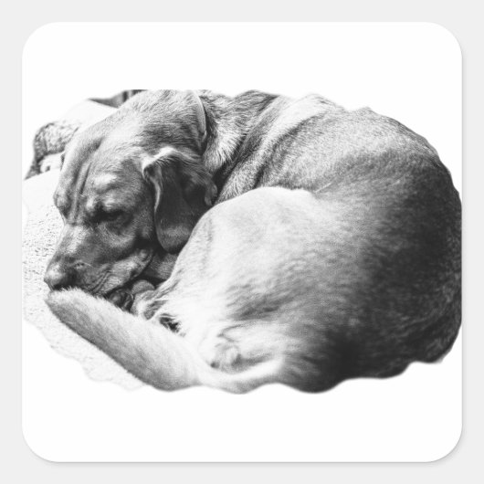 Sweet Slumber Vierkante Sticker (Voorkant)