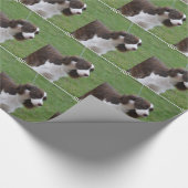 Sweet Springer Spaniel Cadeaupapier (Hoek)