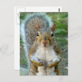 Sweet Squirrel Face Briefkaart (Voorkant / Achterkant)