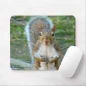 Sweet Squirrel Face Muismat (Met muis)