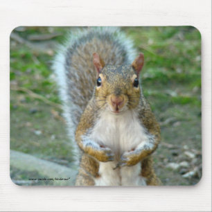Sweet Squirrel Face Muismat