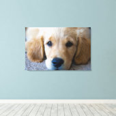 Sweet, Sweet Puppy Canvas Afdruk (Insitu (Houten vloer))