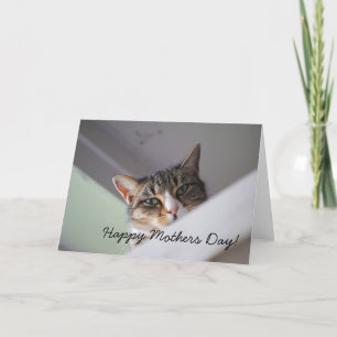 Sweet Tabby Cat Happy Mothers Day Card Kaart