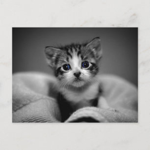 Sweet Tabby Kitten Briefkaart