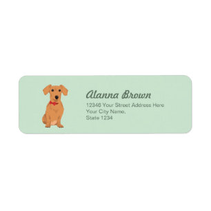 Sweet Tan Dachsund met Neck Ribbon voor Hondenlief Etiket