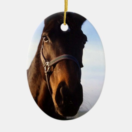 Sweet Thoroughbred Horse Ornament (Voorkant)