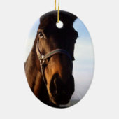 Sweet Thoroughbred Horse Ornament (Achterkant)